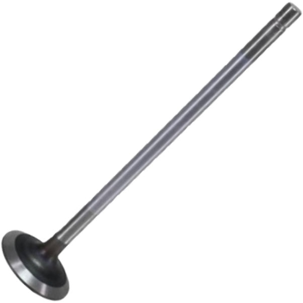 Jogo com 12 Válvulas de Admissão - Mahle Metal Leve - VA0011687 STD - (3)