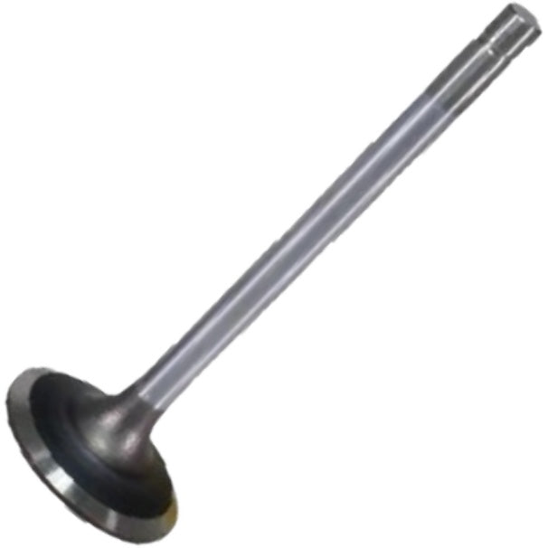 Válvula de Admissão - Mahle Metal Leve - VA0011763 STD - (2)