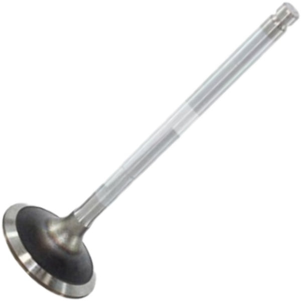 Válvula de Admissão - Mahle Metal Leve - VA0310273 STD - (2)