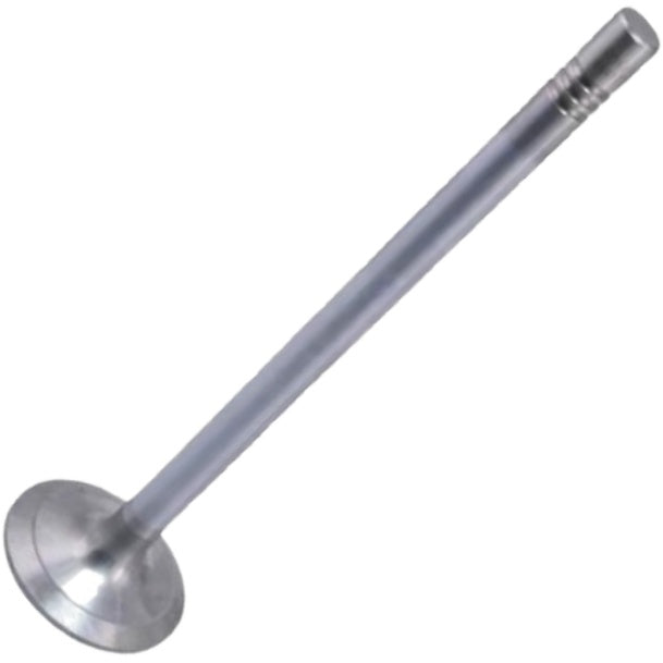 Jogo com 12 Válvulas de Admissão - Mahle Metal Leve - VA0461734 STD - (3)