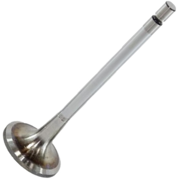Válvula de Admissão - Mahle Metal Leve - VA0481436 STD - (2)