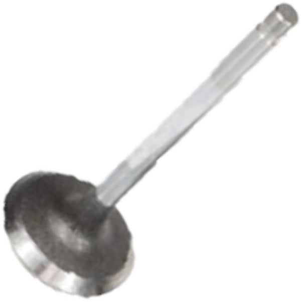 Válvula de Admissão - Mahle Metal Leve - VA0590275 STD - (2)