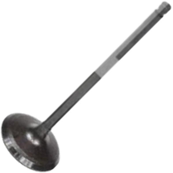 Jogo com 8 Válvulas de Admissão - Mahle Metal Leve - VA0031608 STD - (3)