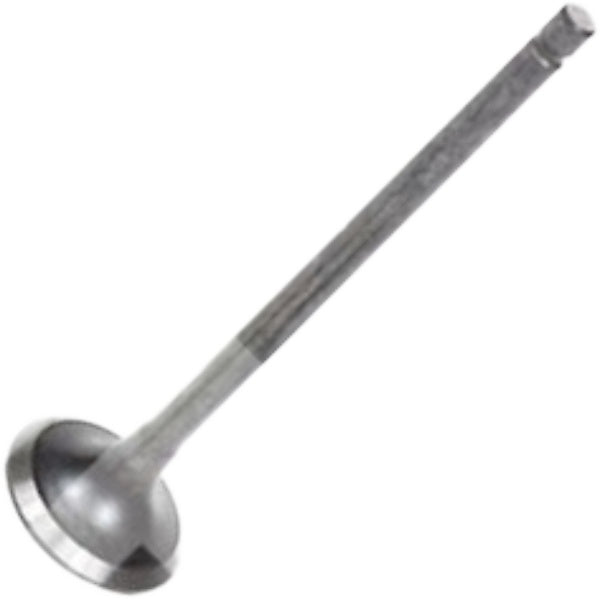 Válvula de Escape - Mahle Metal Leve - VE0031605 STD - (2)