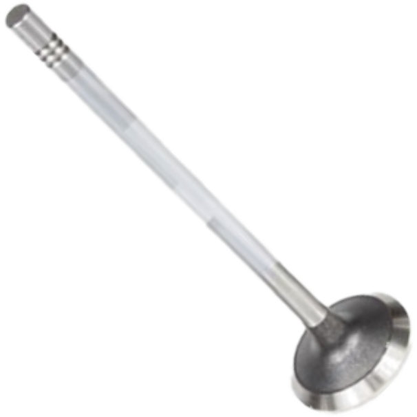 Válvula de Escape - Mahle Metal Leve - VE0011616 STD - (3)