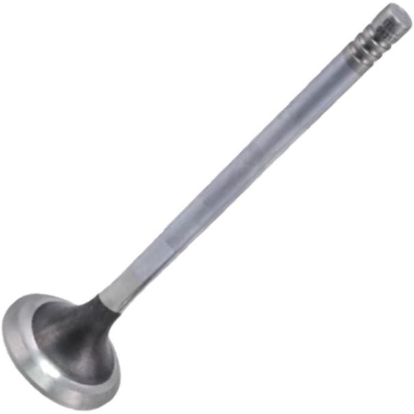 Kit com 6 Válvulas de Admissão e 6 Válvulas de Escape - Mahle Metal Leve - VA0131750 STD / VE0131751 STD - (6)
