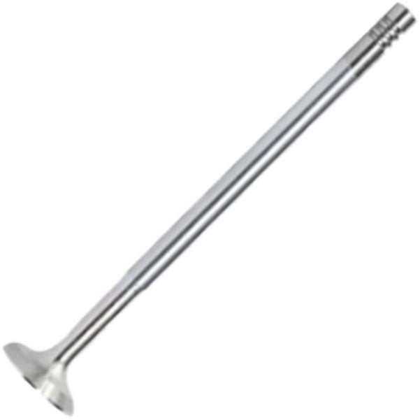 Válvula de Escape - Mahle Metal Leve - VE0140025 STD - (2)