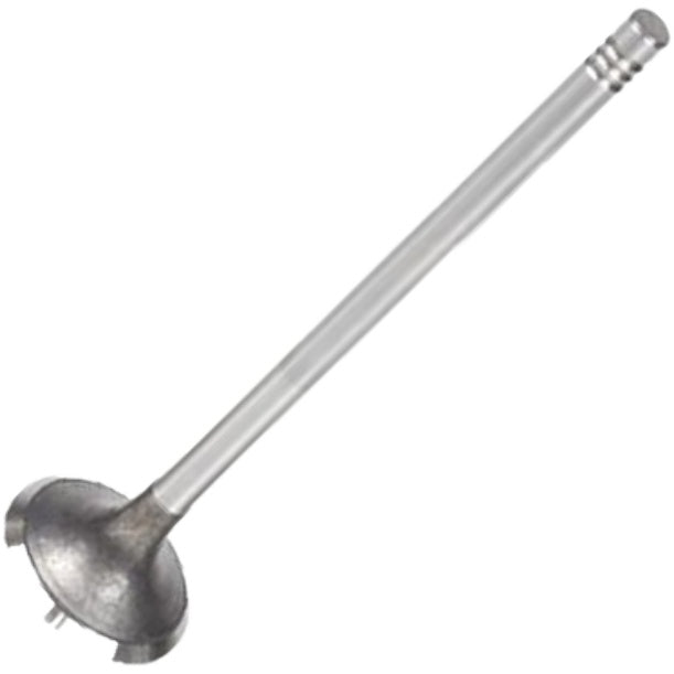 Válvula de Escape - Mahle Metal Leve - VE0181484 STD - (2)
