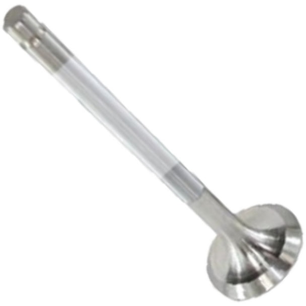 Válvula de Escape - Mahle Metal Leve - VE0250019 STD - (3)
