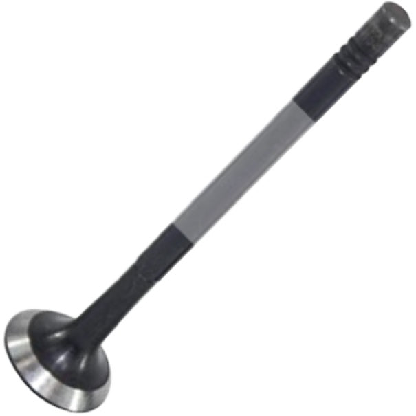 Válvula de Escape - Mahle Metal Leve - VE0250163 STD - (2)