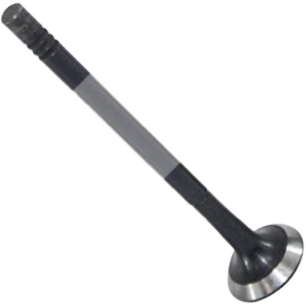 Válvula de Escape - Mahle Metal Leve - VE0250163 STD - (3)