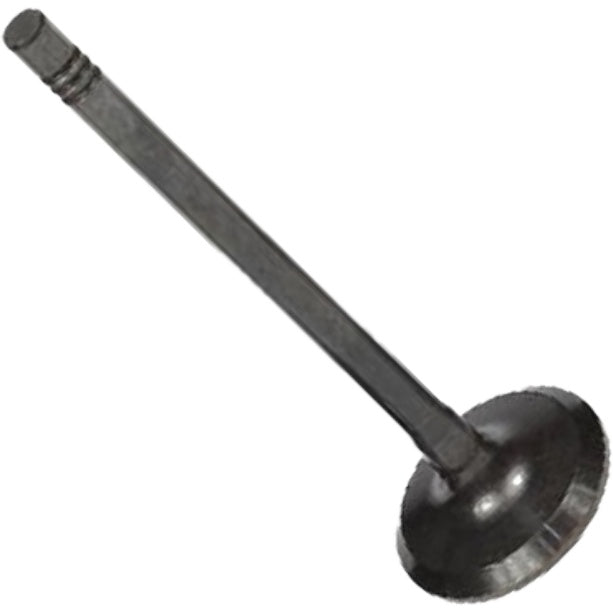 Válvula de Escape - Mahle Metal Leve - VE0251615 STD - (3)