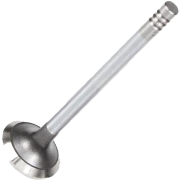 Válvula de Escape para Citroen Xantia e Peugeot 306 - Mahle Metal Leve - VE0440301 STD - (2)