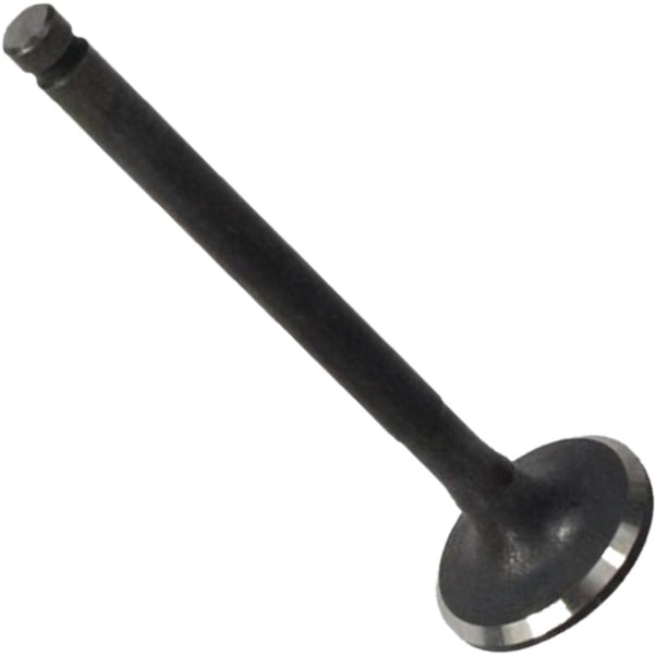 Válvula de Escape - Mahle Metal Leve - VE0510127 STD - (3)