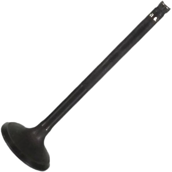 Válvula de Escape - Mahle Metal Leve - VE0511635 STD - (2)