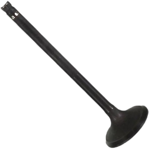 Válvula de Escape - Mahle Metal Leve - VE0511635 STD - (3)