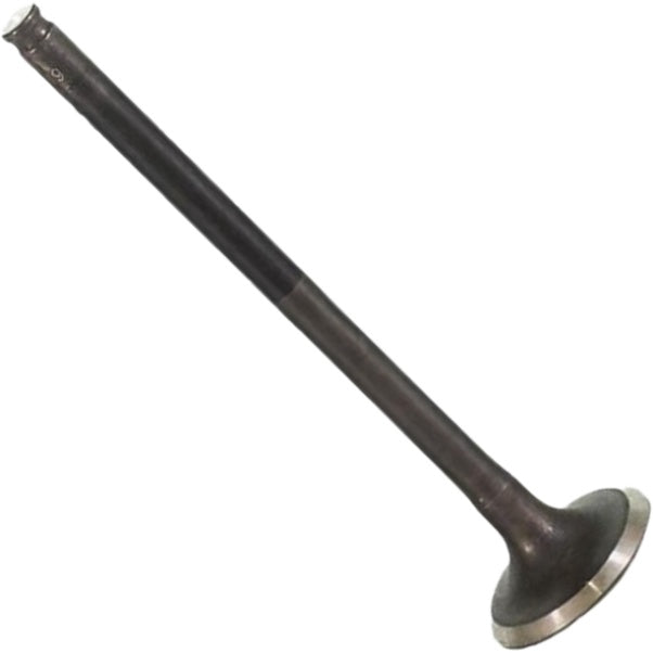 Válvula de Escape - Mahle Metal Leve - VE0511745 STD - (3)