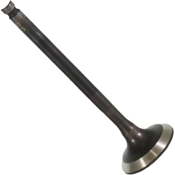 Válvula de Escape - Mahle Metal Leve - VE0521715 STD - (3)
