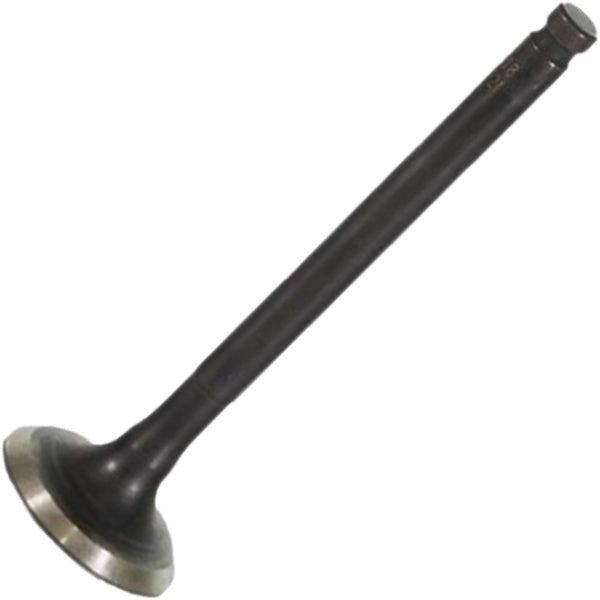 Válvula de Escape - Mahle Metal Leve - VE0521721 STD - (2)