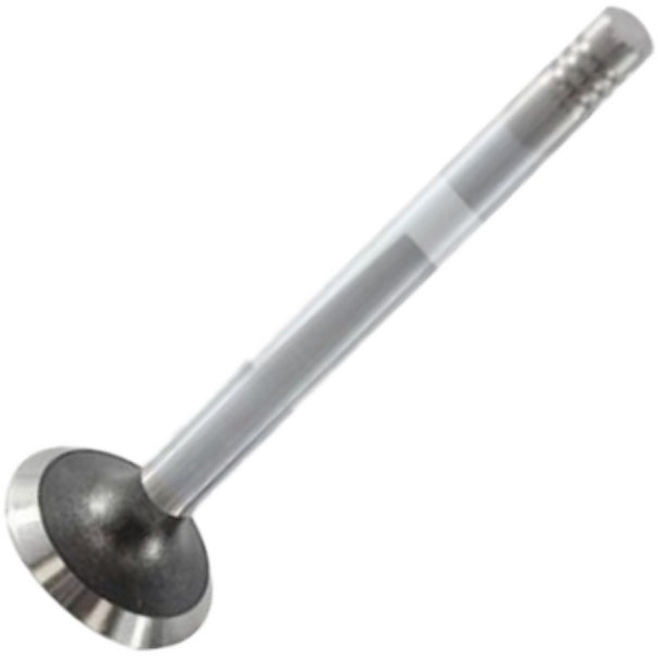 Válvula de Escape - Mahle Metal Leve - VE0570037 STD - (2)