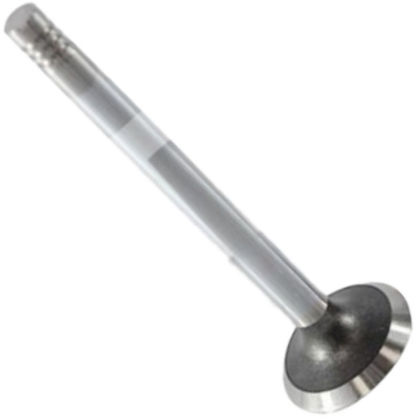 Válvula de Escape - Mahle Metal Leve - VE0570037 STD - (3)