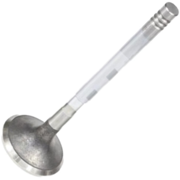 Válvula de Escape - Mahle Metal Leve - VE0570230 STD - (2)