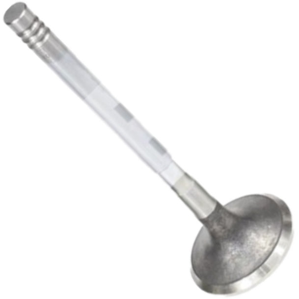 Válvula de Escape - Mahle Metal Leve - VE0570230 STD - (3)
