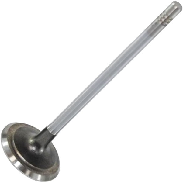 Válvula de Escape - Mahle Metal Leve - VE0590171 STD - (2)