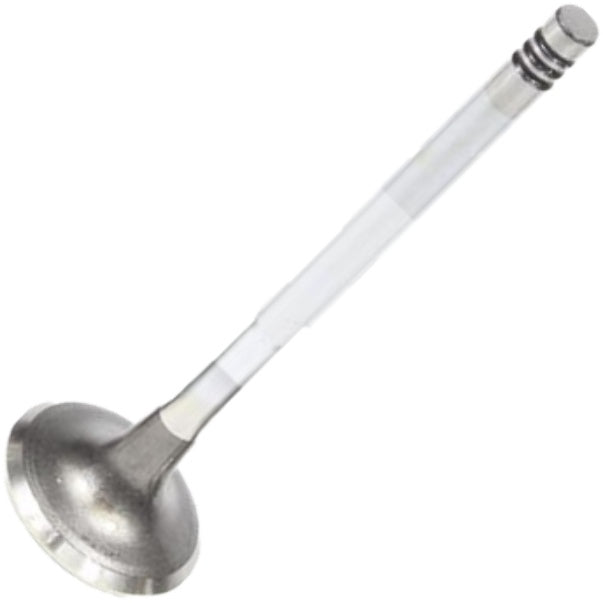 Válvula de Escape - Mahle Metal Leve - VE0590182 STD - (2)