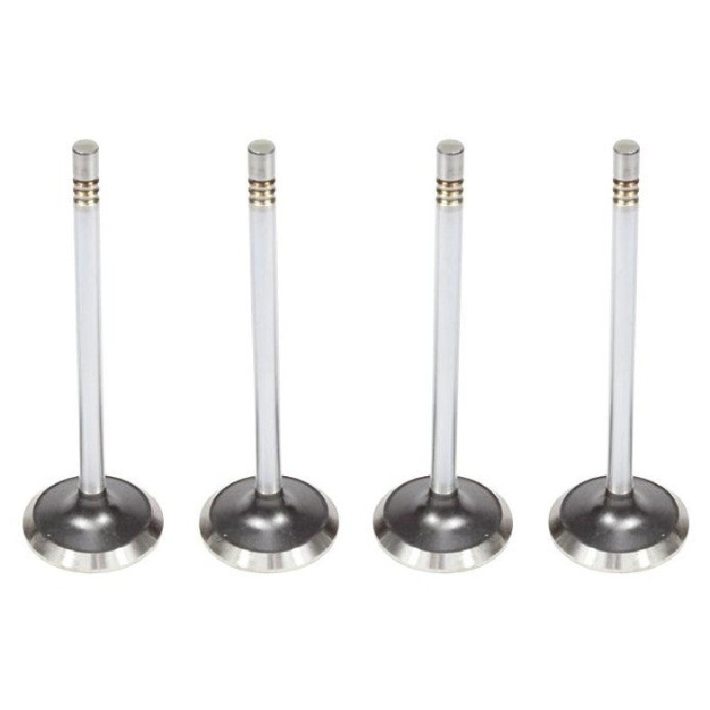 Kit com 4 Válvulas de Admissão e 4 Válvulas de Escape - Mahle Metal Leve - VA0591461 STD / VE0591462 STD - (6)