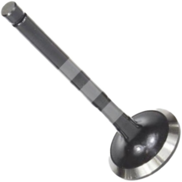 Válvula de Escape - Mahle Metal Leve - VE0630214 STD - (3)