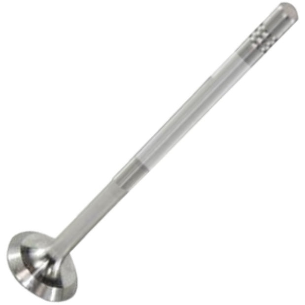 Válvula de Escape - Mahle Metal Leve - VE0700073 STD - (2)