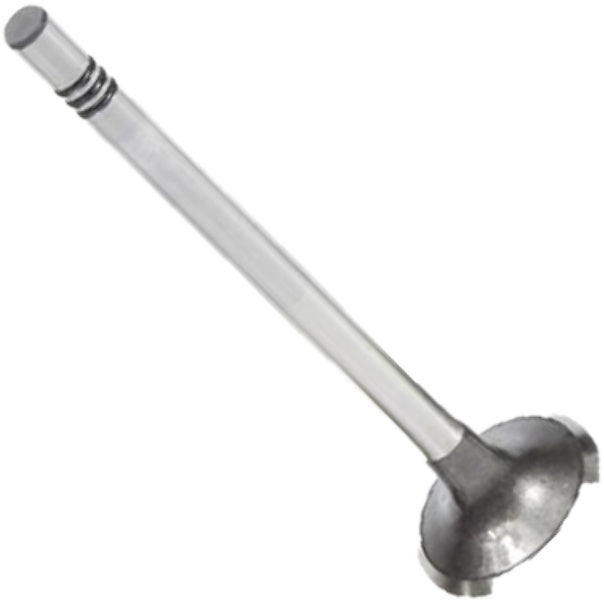 Válvula de Escape - Mahle Metal Leve - VE0701559 STD - (3)
