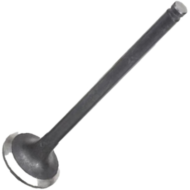 Válvula de Escape - Mahle Metal Leve - VE1950224 STD - (2)