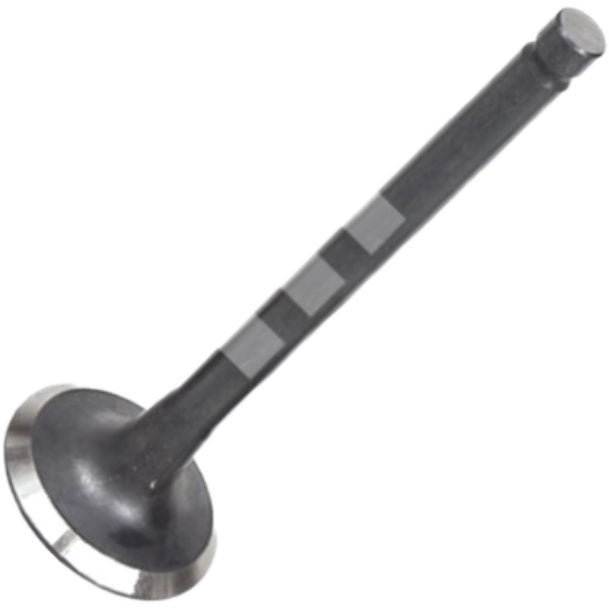 Jogo com 8 Válvulas de Escape - Mahle Metal Leve - VE1950246 STD - (3)