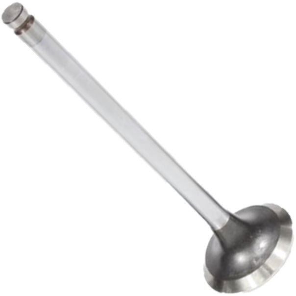 Válvula de Escape - Mahle Metal Leve - VE2081302 STD - (3)
