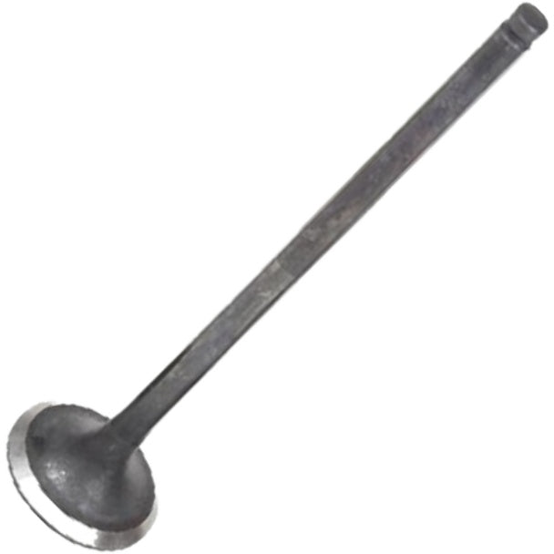 Válvula de Escape - Mahle Metal Leve - VE5511569 STD - (2)