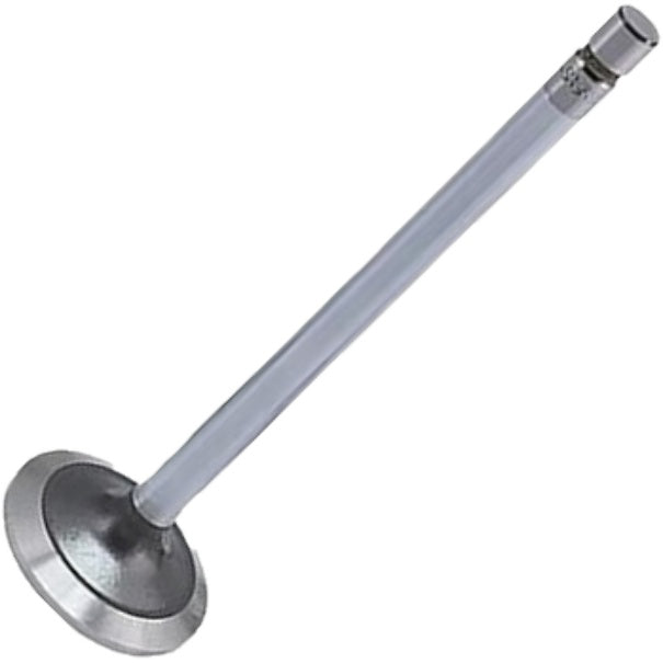 Válvula de Escape - Mahle Metal Leve - VE0431319 STD - (2)