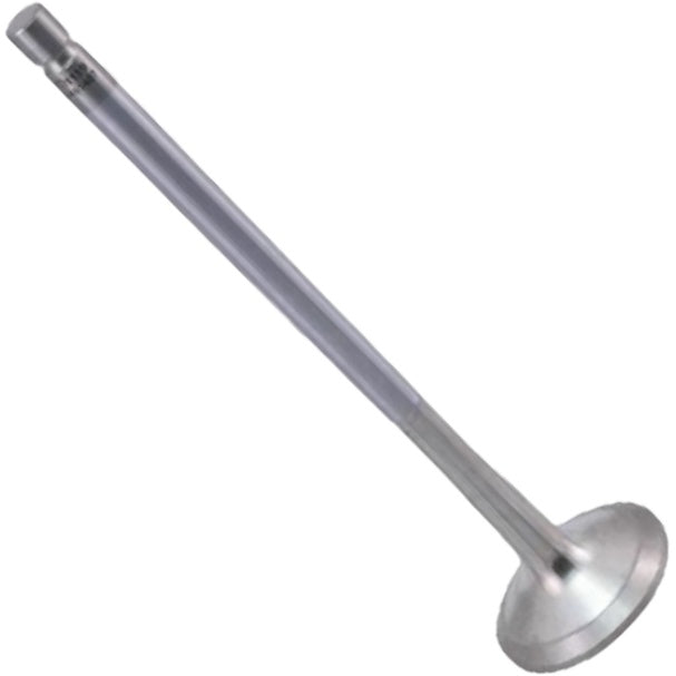 Válvula de Escape - Mahle Metal Leve - VE0481487 STD - (3)