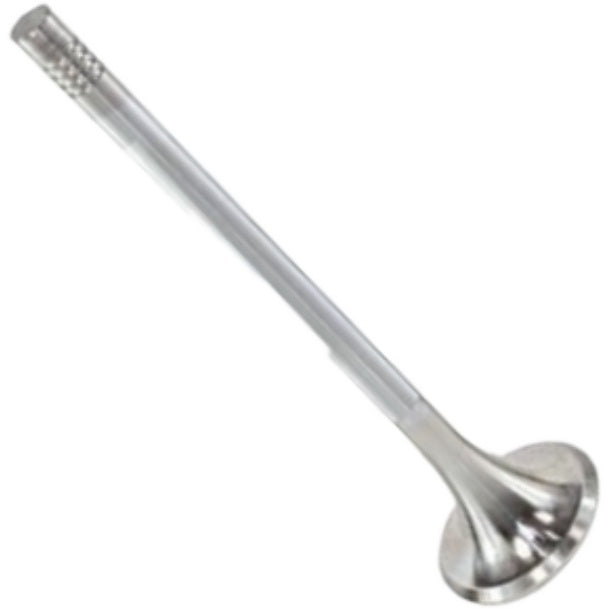 Válvula de Escape - Mahle Metal Leve - VE0761424 STD - (3)