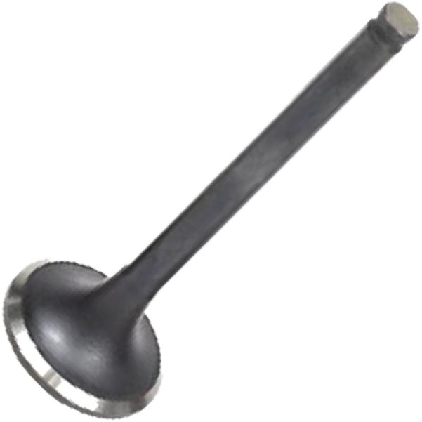 Válvula de Escape - Mahle Metal Leve - VE1950235 STD - (2)