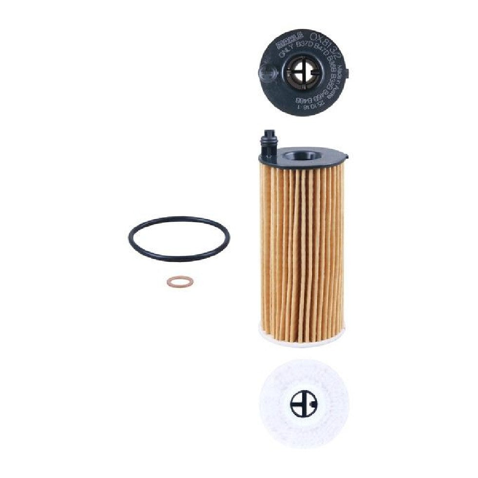 Elemento Para Filtro de Óleo Lubrificante - Mahle Metal Leve - OX813/2D - (1)