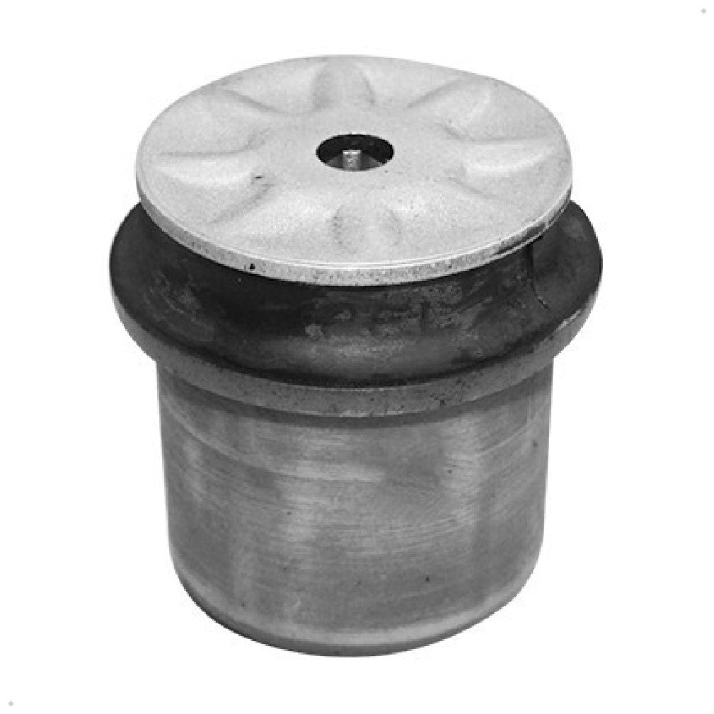 Bucha Do Eixo Traseira - Sampel - 4005 - (1)