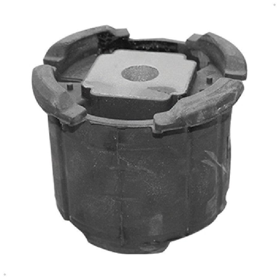 Bucha - Sampel - SP118066 - (1)