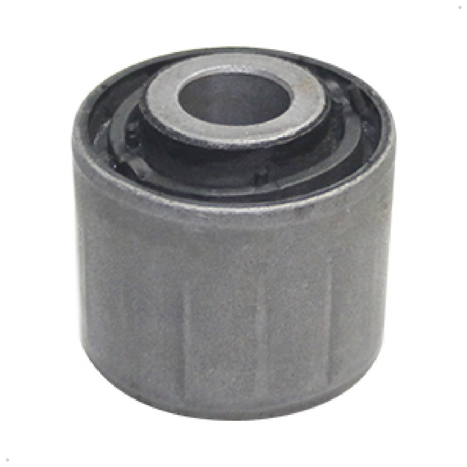 Bucha - Sampel - 2788 - (1)
