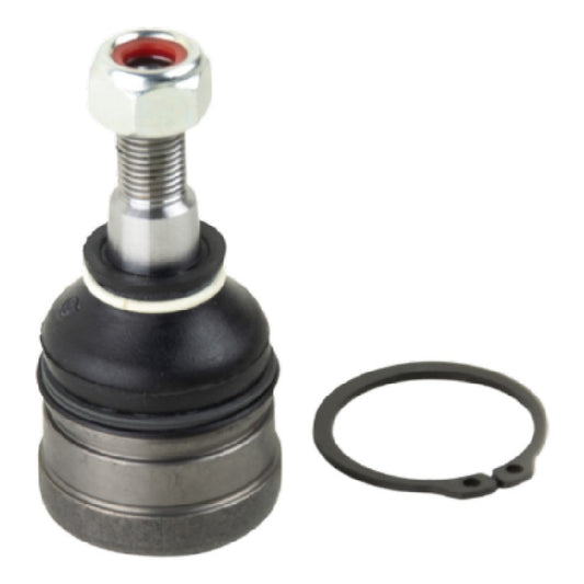 Pivô de Suspensão Inferior - Viemar - 503355 - (1)