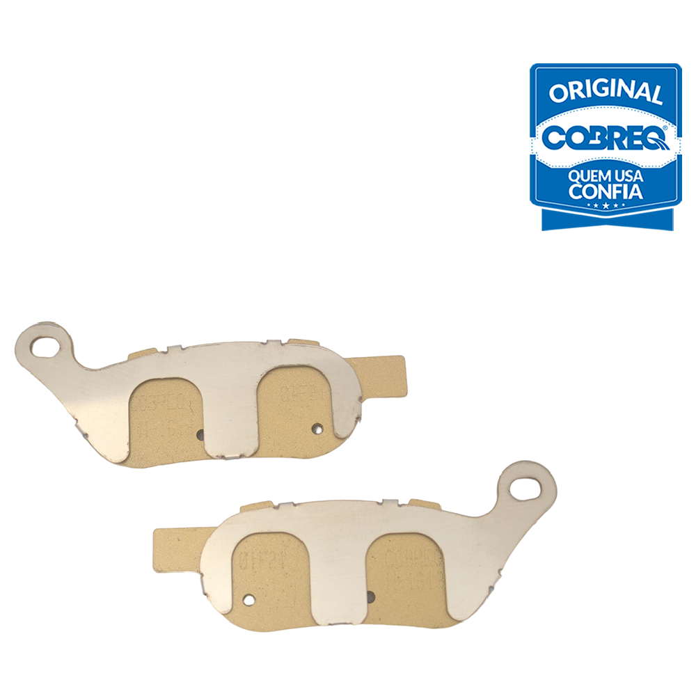 Pastilha de Freio Traseira - Cobreq - N-1613 - (1)