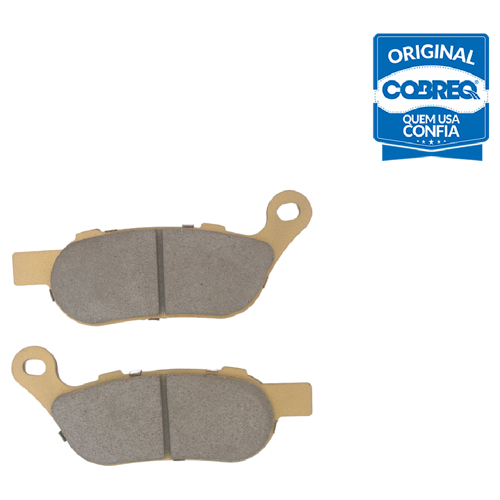 Pastilha de Freio Traseira - Cobreq - N-1613 - (3)
