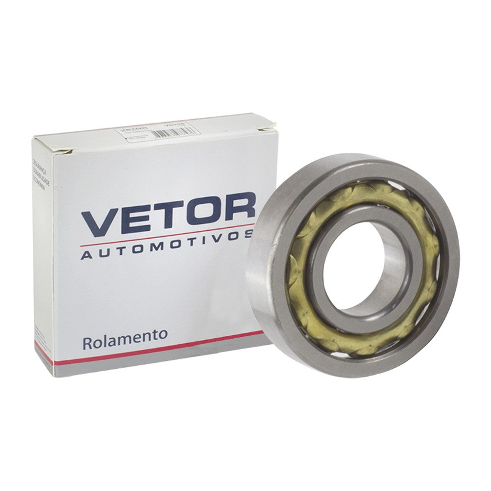 Rolamento da Bomba Injetora - Vetor - L17 - (3)