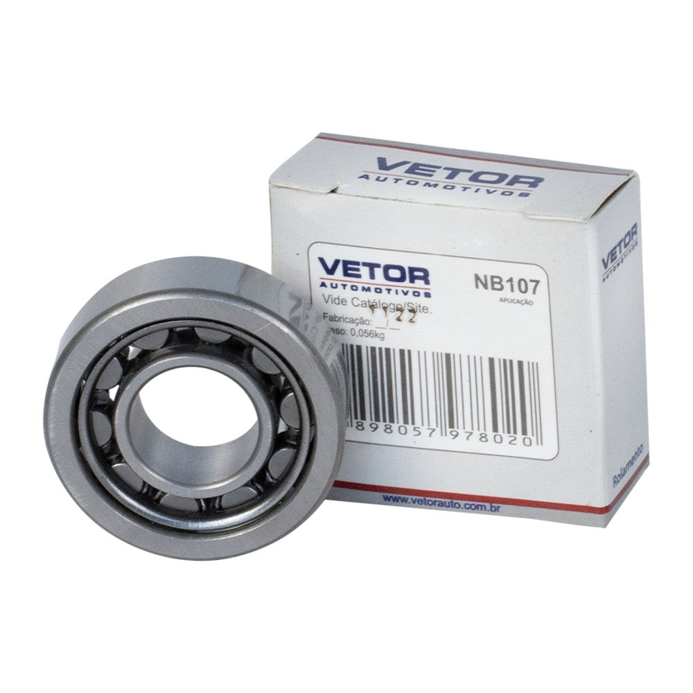 Rolamento do Alternador - Vetor - Nb107 - (1)